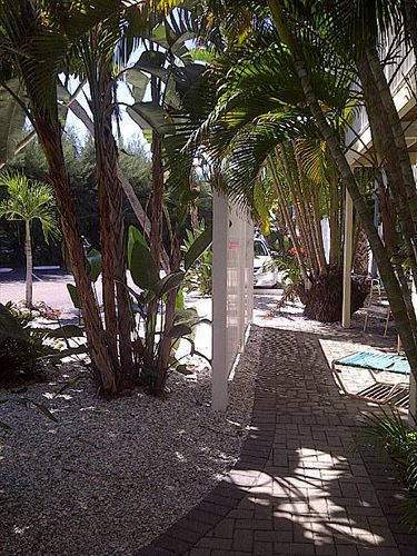 Coquina On The Beach Lido Key  Exterior photo